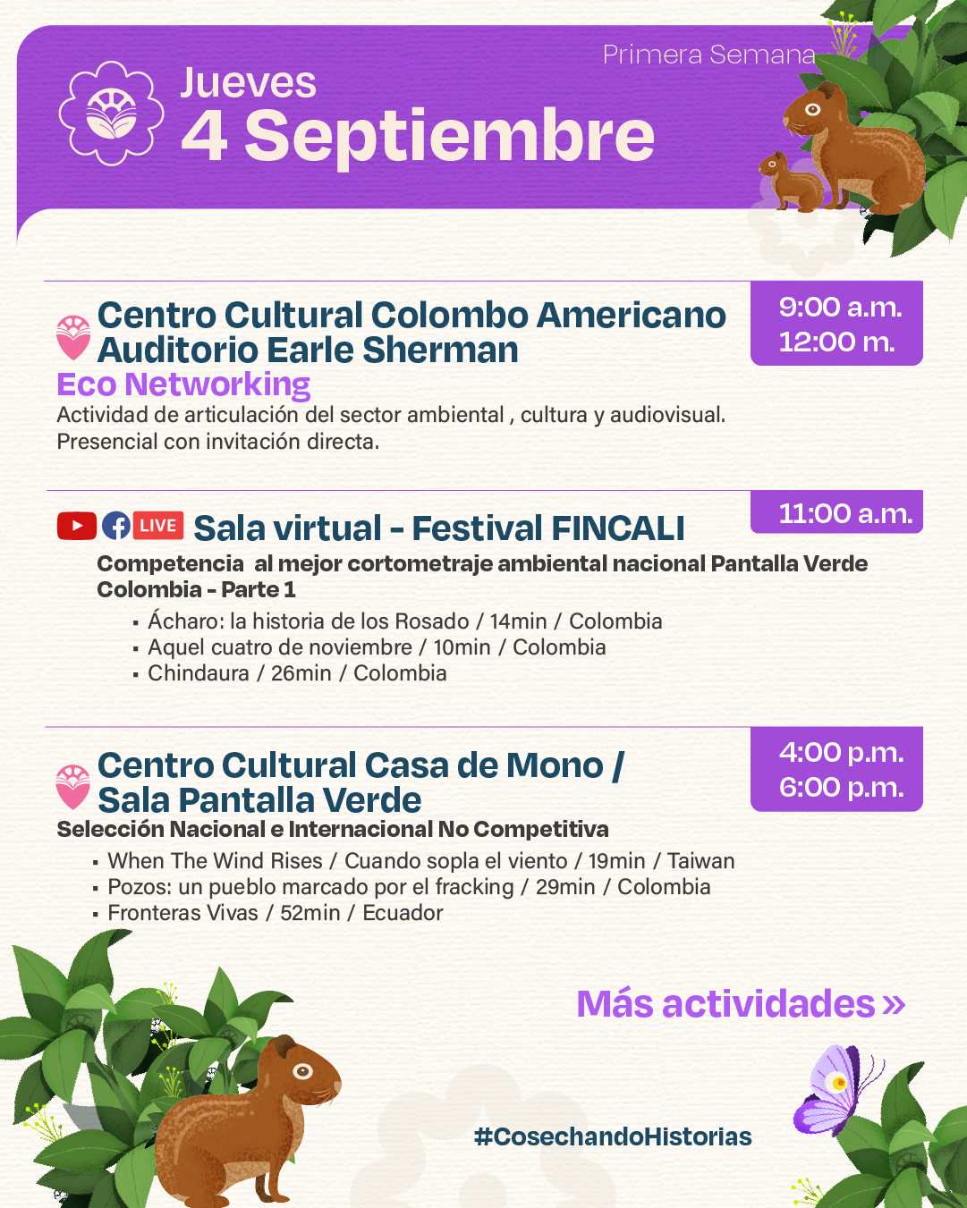 Reportaje especial acerca del festival de cine fincali 2025.