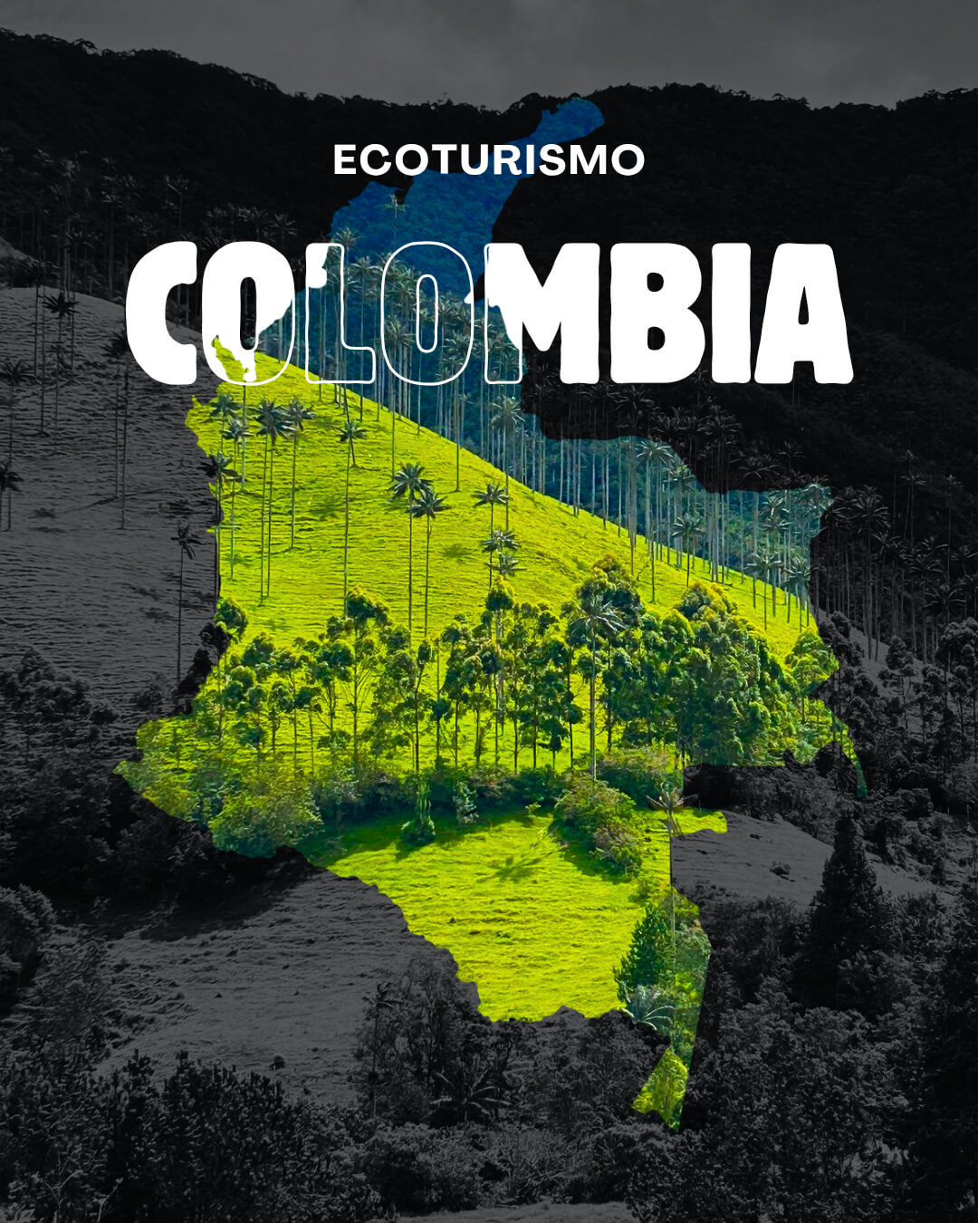 Ecoturismo comunitario: experiencias auténticas en colombia.