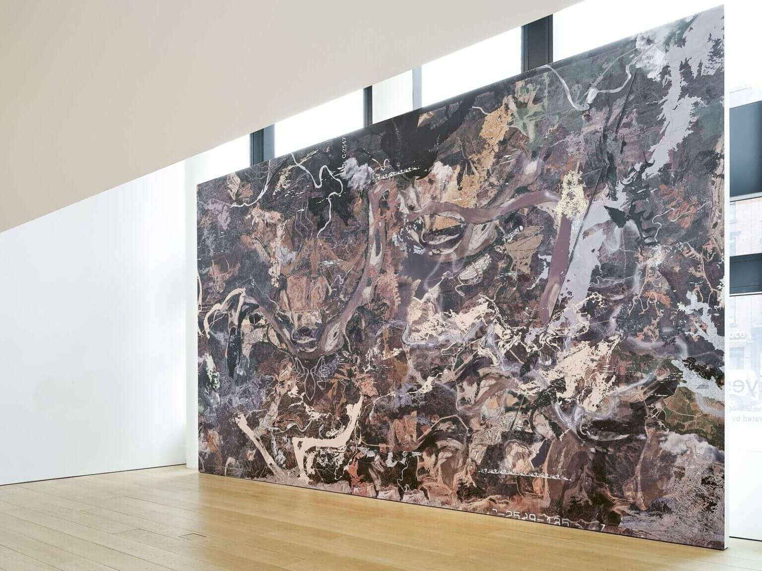 Reseña Ensayo. Datos infinitos, verdades escurridizas.  Vivian Newman.