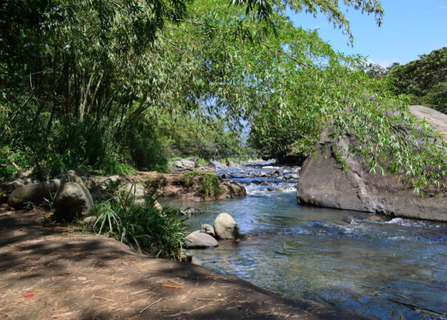 Pance: El nuevo eje de ecoturismo y bienestar en el Valle del Cauca.